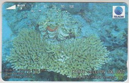 Indonesien - IND 169 UNDER WATER - TRIDACNA SQUAMOSA - 100 Units - Indonésie