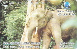 Indonesien - IND 202 ANIMALS IN DANGER - ELEPHANT - 100 Units - Indonesia