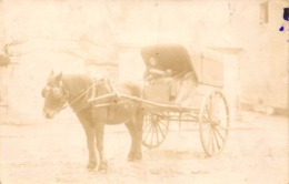 Thème:   Attelage Divers Et Chaise A Porteur. Attelage Cheval Marchande De Pains Peut-être Le Loiret . Pho   (Voir Scan) - Andere & Zonder Classificatie