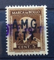 MARCA DA BOLLO  TRIESTE AMG FTT  IL N. 1  TASSA FISSA CENT. 5 - Revenue Stamps