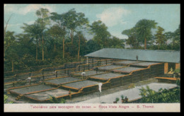 SÃO TOMÉ E PRÍNCIPE -Taboleiros Para Seccagem Do Cacao-Roça Vista Alegre (Ed.António Joaquim Brás Nº 5801) Carte Postale - São Tomé Und Príncipe