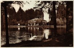 CPA AK LINDENBERG I. ALLGÄU Hotel Am Waldsee GERMANY (865793) - Lindenberg I. Allg.