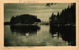 CPA AK LINDENBERG I. ALLGÄU Morgenstimmung Am Waldsee GERMANY (865798) - Lindenberg I. Allg.