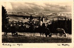 CPA AK LINDENBERG I. ALLGÄU GERMANY (865833) - Lindenberg I. Allg.