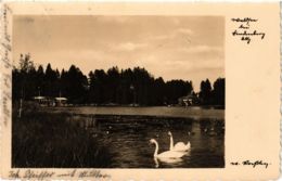 CPA AK LINDENBERG I. ALLGÄU Waldsee GERMANY (865958) - Lindenberg I. Allg.