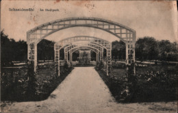 ! Alte Ansichtskarte Schneidemühl, Stadtpark, 1919 - Polonia