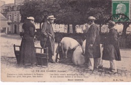 Delcampe - PAYSAN(MARCHE) COCHON - Bauern