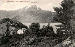 Bürgenstock - Die Hotels (2443) * Aug. 1911 - Otros & Sin Clasificación