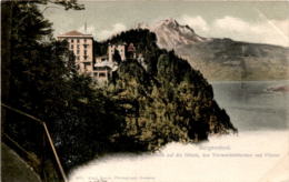 Bürgenstock - Blick Auf Die Hotels, Den Vierwaldstättersee Und Pilatus (2071) * 3. 8. 1907 - Otros & Sin Clasificación