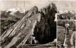 Pilatus-Tomlishorn Und Berner Alpen - 2 Bilder (03653) - Otros & Sin Clasificación