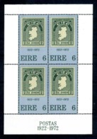 1972 IRLANDA BF1 MNH ** - Blocks & Sheetlets