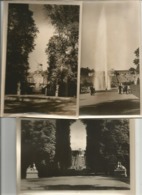 PHO.0568/ Lot De 7 Photos Potsdam Et Berlin Allemagne - Non Classés