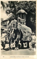 SRI LANKA   Caprisoned Elephant Kandy - Sri Lanka (Ceylon)