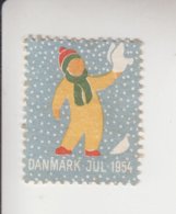 Denemarken Kerstvignet Cat.AFA Julemaerken Norden: Uitgifte Door Danmark Julemaerke Kom.jaar 1954 Pos.16 Op 50 - Hojas Completas