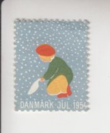 Denemarken Kerstvignet Cat.AFA Julemaerken Norden: Uitgifte Door Danmark Julemaerke Kom.jaar 1954 Pos.19 Op 50 - Fogli Completi