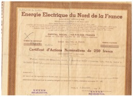 ACTION ENERGIE ELECTRIQUE DU NORD De La FRANCE 1948 HABITANTE DE RAISMES (NORD) - Electricidad & Gas