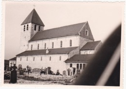41687 -  Bertem  L'église -  Photo  11,5  X  8 - Bertem