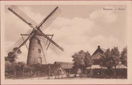 Balegem Bij Oosterzele Molen Windmolen Windmill Moulin A Vent (In Zeer Goede Staat) - Oosterzele