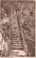 DEVILS BRIDGE - JACOBS LADDER - Cardiganshire