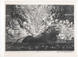 PHOTO"FEU D'artifice Du 18 Décembre 1622 à LYON"Photographie BULLOZ Paris VI ème"LION - Ohne Zuordnung