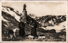!  Alte Ansichtskarte, Carte Postale, 1929, Hospice Du Grand St. Bernard, Bernhardiner Hunde, Schweiz - Other & Unclassified