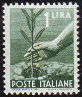 1945 - 1 Lira Democratica, Carta Ricongiunta (550t), Gomma Integra, Perfetto. Cert. Diena.... - Otros & Sin Clasificación