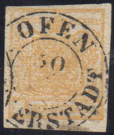 AUSTRIA 1850 - 1 K. Giallo (Ferchenbauer 1b), Perfetto, Usato. Emilio Diena, Raybaudi.... - Sonstige - Europa