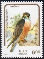 INDIA 1992 - 6 R. Falco Peregrinus, Serie Uccelli, Dicitura Errata In Indiano Pandion Haliaetus, Anz... - Andere & Zonder Classificatie