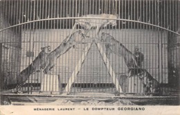 Thème:     Cirque.     Ménagerie Laurent Le Dompteur Georgiano Et Ses Lionnes       (Voir Scan) - Circo