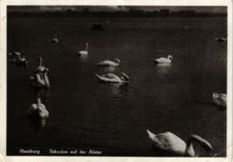 CPA AK Hamburg- Schwane Auf Der Alster GERMANY (902780) - Noord