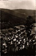 CPA AK Bad Herrenalb- Schwarzwald GERMANY (903007) - Bad Herrenalb