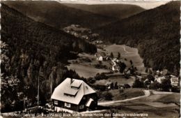 CPA AK Bad Herrenalb- Gaistal Blick V. Wanderheim GERMANY (903078) - Bad Herrenalb