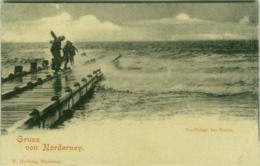 AK GERMANY - GRUSS VON NORDERNEY - EDIT W. HARTUNG - 1900s  (BG4274) - Norderney