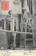 Thème:     Cirque.   Ménagerie Laurent   Georgiano   Et Son Tigre      (Voir Scan) - Circus