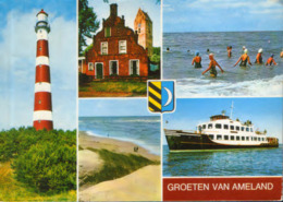 Nederland - Postcard Used 1981 - Ameland - Images From The City  - 2/scans - Ameland