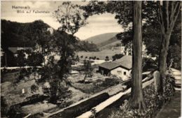 CPA AK Bad Herrenalb- Blick Auf Falkenstein GERMANY (903094) - Bad Herrenalb