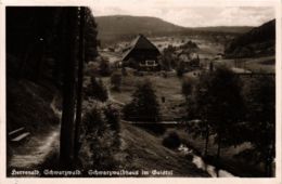 CPA AK Bad Herrenalb- Schwarzwaldhaus Im Gaistal GERMANY (903099) - Bad Herrenalb