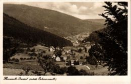 CPA AK Bad Herrenalb- Gaistal GERMANY (903120) - Bad Herrenalb