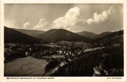 CPA AK Bad Herrenalb- Blick Vom Falkenstein GERMANY (903183) - Bad Herrenalb