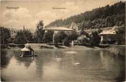CPA AK Bad Herrenalb- Schwanensee GERMANY (903190) - Bad Herrenalb