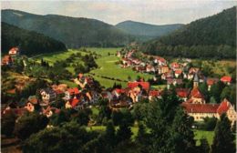 CPA AK Bad Herrenalb- GERMANY (903202) - Bad Herrenalb