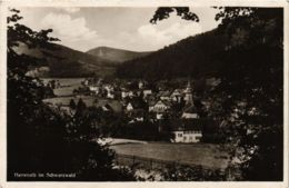 CPA AK Bad Herrenalb- GERMANY (903224) - Bad Herrenalb