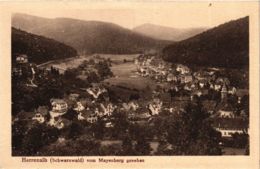 CPA AK Bad Herrenalb- Vom Mayerberg GERMANY (903293) - Bad Herrenalb