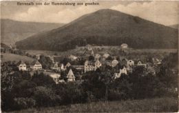 CPA AK Bad Herrenalb- Blick Von Der Hummelsburg GERMANY (903296) - Bad Herrenalb