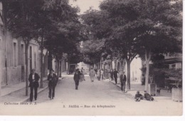 ALGERIE(SAIDA) ARBRE - Saïda