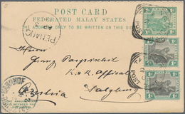 Malaiischer Staatenbund: 1901-1920's: Group Of 26 Postal Stationery Cards, Letter Card, Envelopes An - Federated Malay States