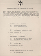 Thematik: Pfadfinder / Boy Scouts: 1913/1990 (ca.) Exhibition Collection On The Theme Scouts, Wonder - Other & Unclassified
