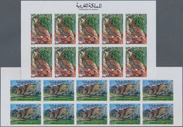 Thematik: Tiere, Fauna / Animals, Fauna: 1974, Morocco. Complete Set FAUNA (2 Values) In 2 IMPERFORA - Otros & Sin Clasificación
