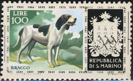 Thematik: Tiere-Hunde / Animals-dogs: 1956, San Marino, 100lire "Hunting Hound", Two Photographic B/ - Chiens