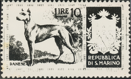 Thematik: Tiere-Hunde / Animals-dogs: 1956, San Marino, 10lire "Great Dane", Two Photographic B/w Es - Perros